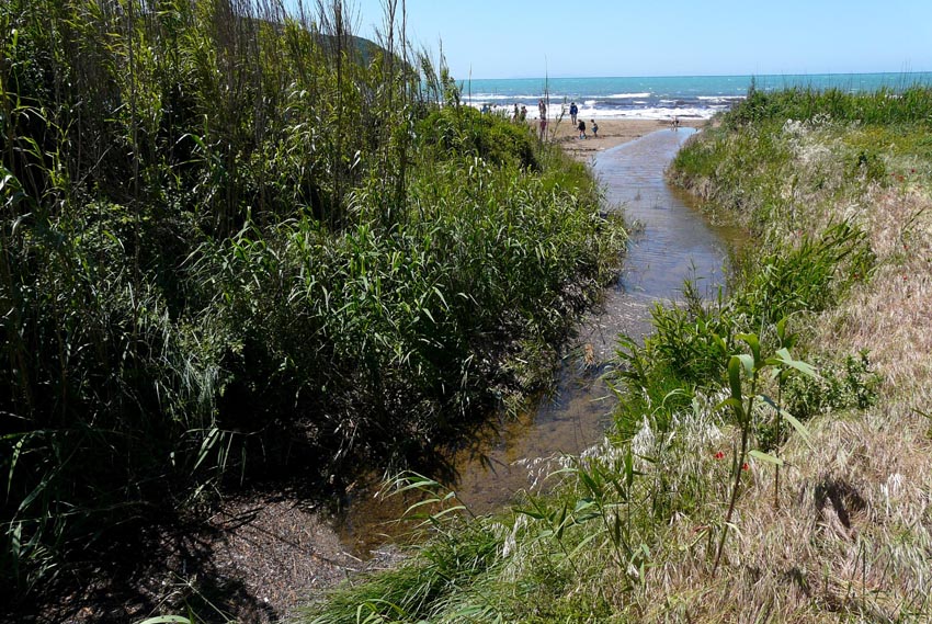 I fossi e lo stagno di Baratti (Piombino - LI)